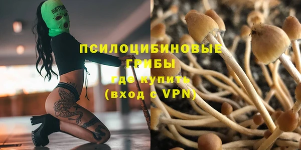 spice Баксан