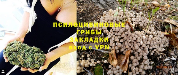 ГАЛЛЮЦИНОГЕННЫЕ ГРИБЫ Балабаново